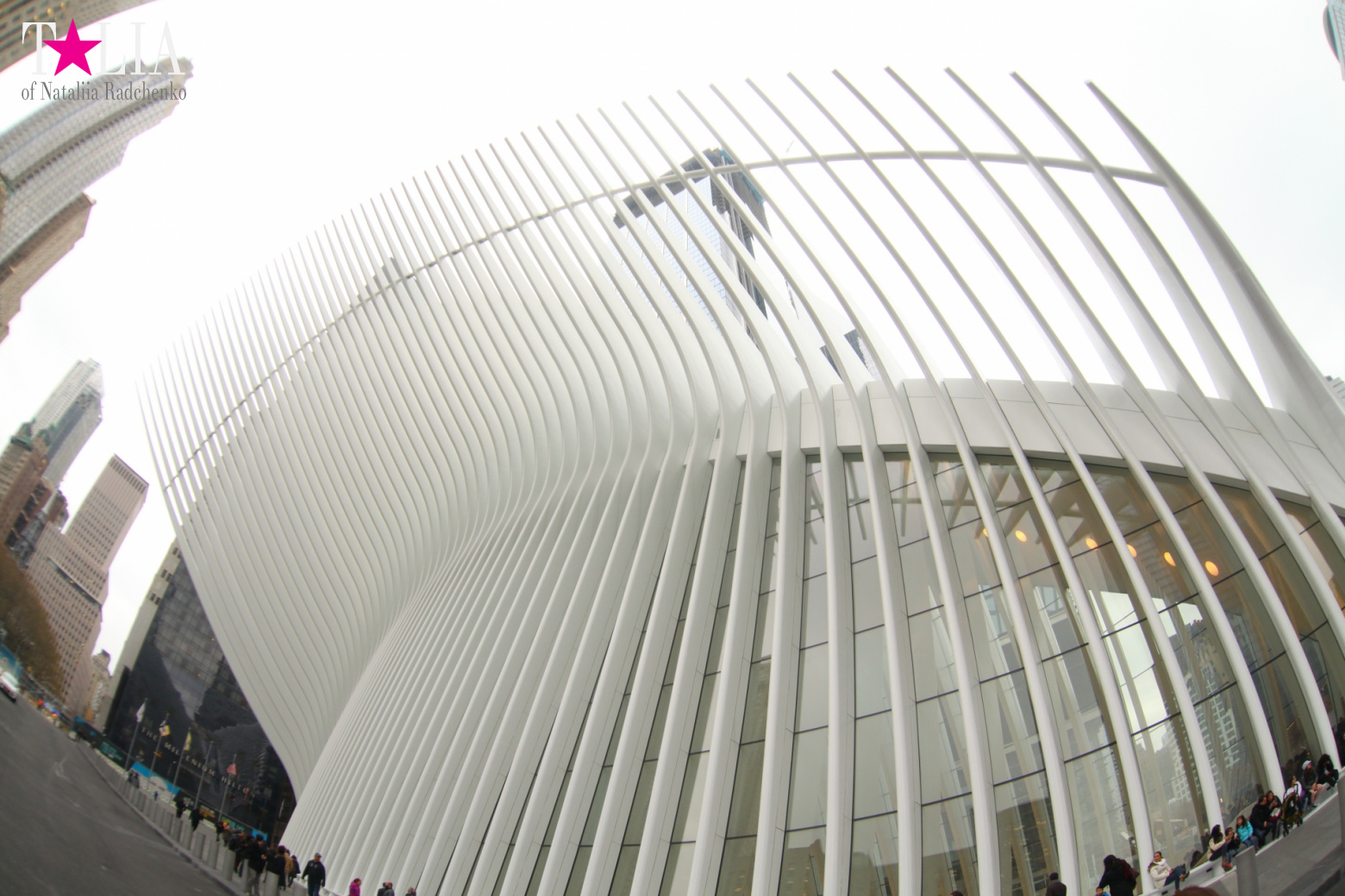 The most expensive train station and mall in the world. Oculus in New York City